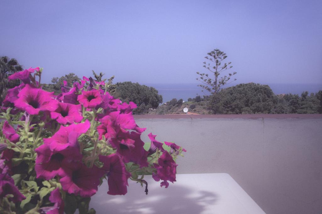 Affittacamere Sileo Castellammare del Golfo Dış mekan fotoğraf